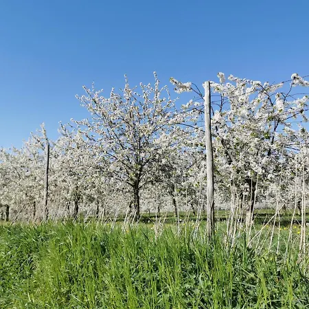 Hof Wolder Couette-café