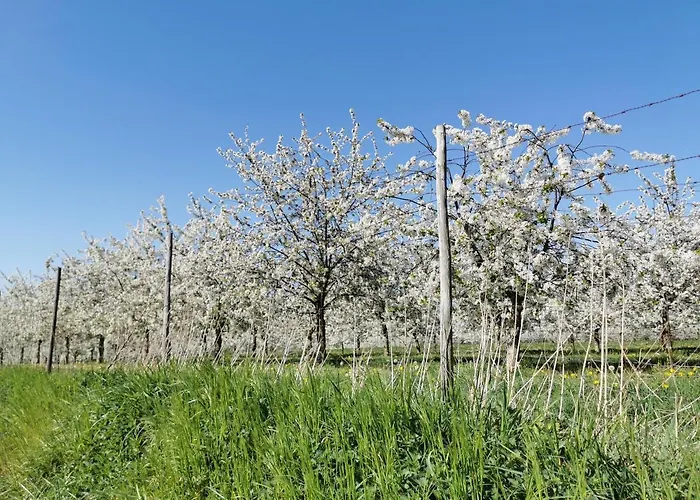 Hof Wolder Couette-café