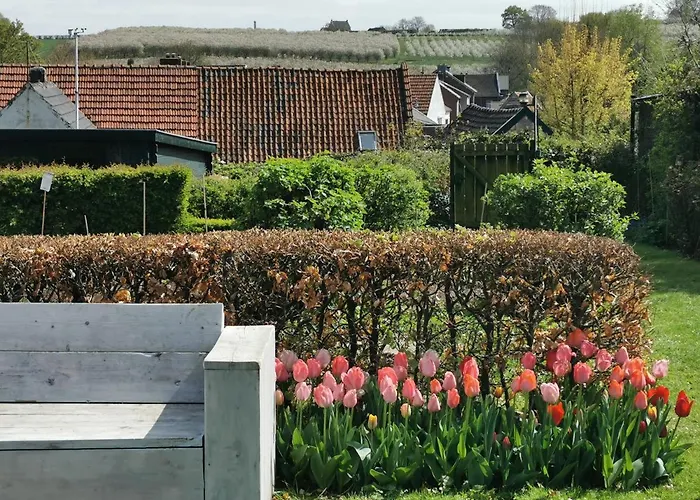 Bed & Breakfast Hof Wolder